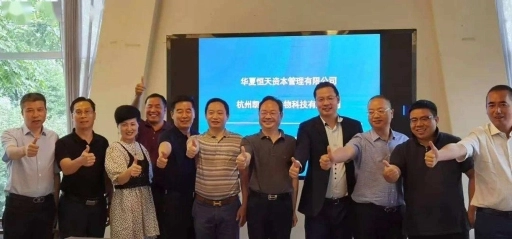 华夏联盟 2020 年多元化战略与布局的精妙之处